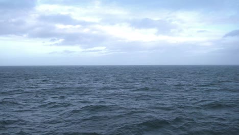 Whale-tour-boat-on-the-high-seas-in-Iceland,-watching-whales