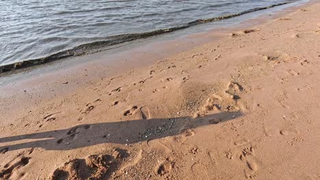 shadows cast on sandy beach by the sea