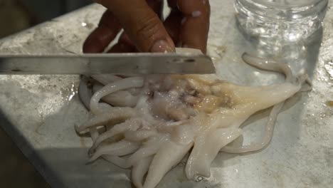 cutting processing cuttlefish on counter at local thailand street food restaurant for cooking