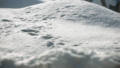 Nieve-Entra-En-Foco-Desenfoque-De-Cámara-Profundidad-De-Campo