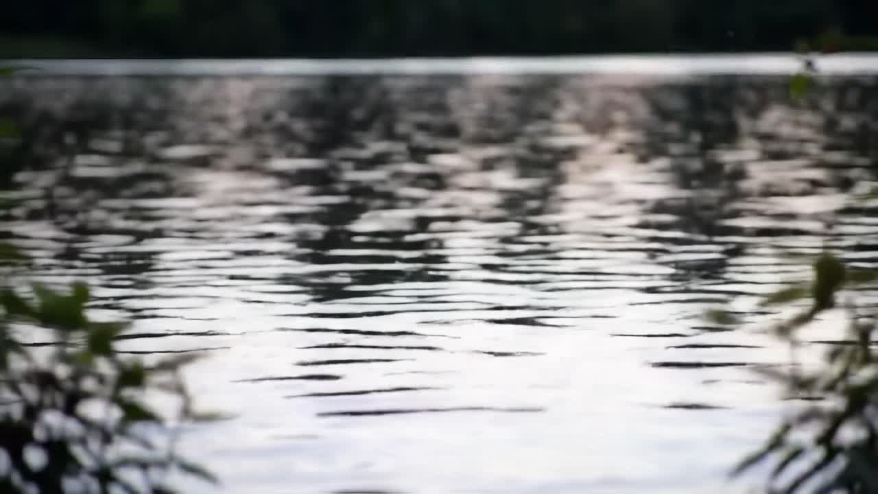 Calming Reflections on Tranquil Water: A Serene Scene Captured in Frames Highlighting the Beauty of Nature and the Peaceful Surface of a Still Lake