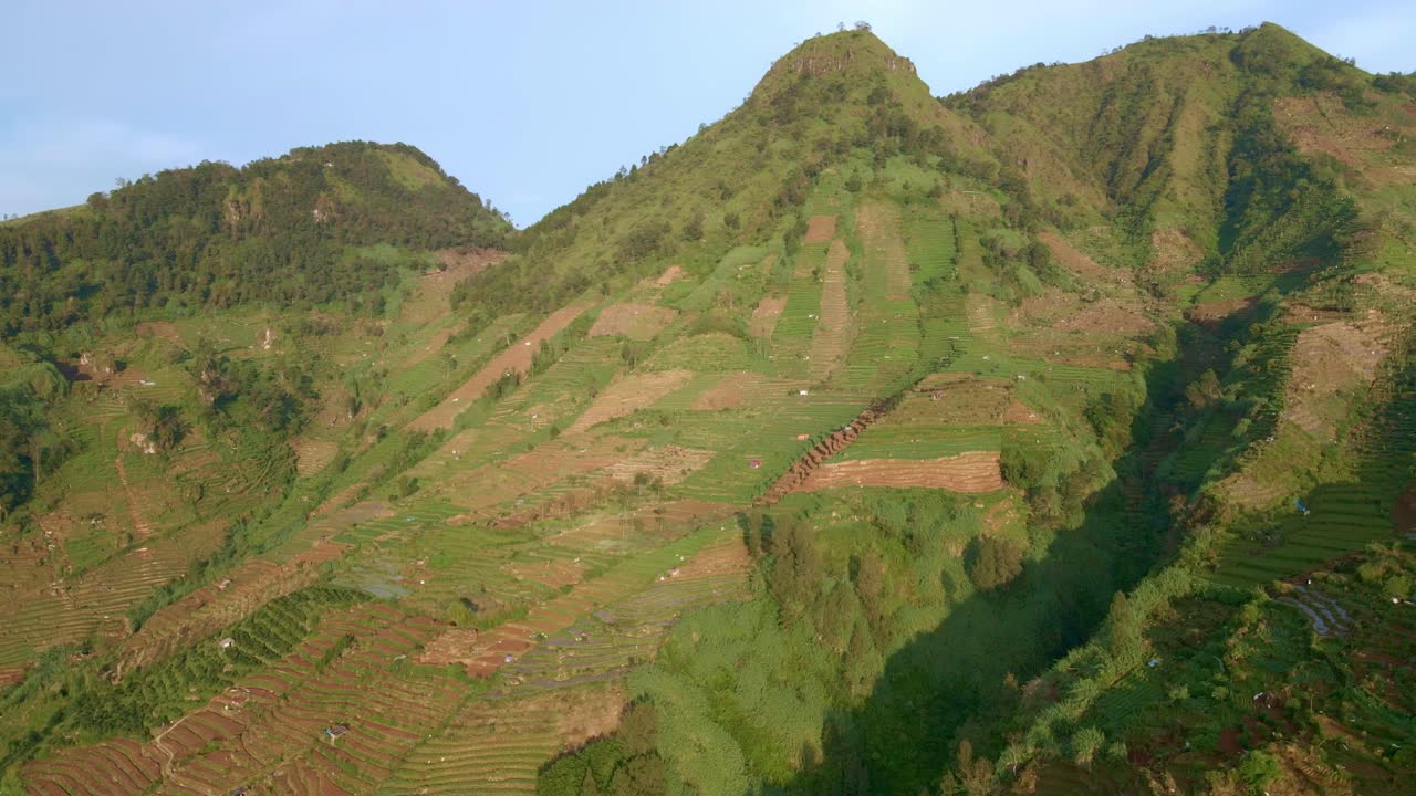 montaña verde hacia adelante aérea con plantación de patatas a la luz del sol brillante