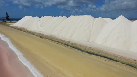 las salinas de bonaire