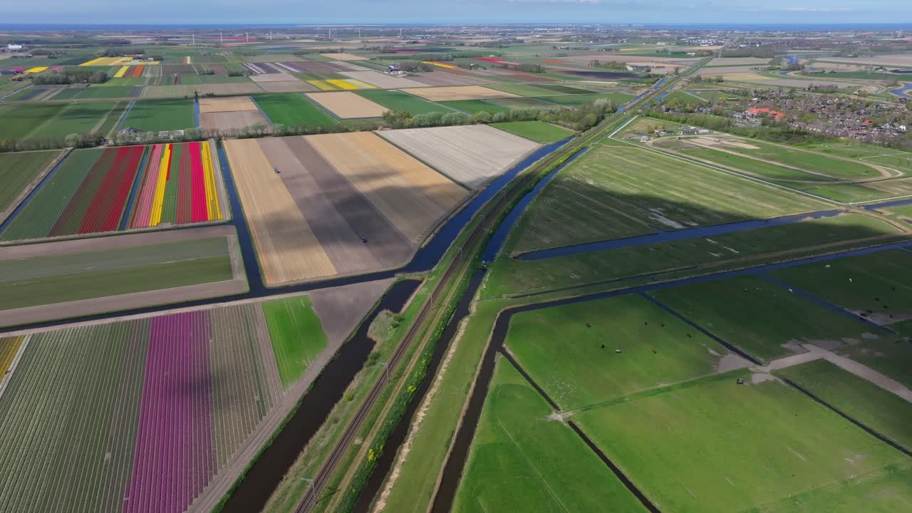Vista aerea dei binari del treno che si snodano tra vivaci file di tulipani, Paesi Bassi