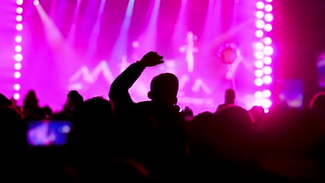 young fan jumping and dancing during a live concert of favorite artist