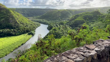 looking out at river in kauai