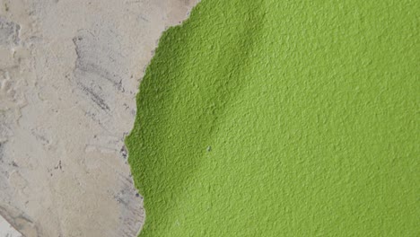 steady close up shot of a man scraping off green paint from a wall