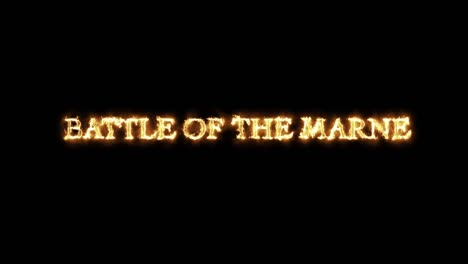 battle of the marne written with fire.