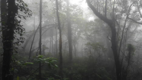 Drohnenaufnahme-Eines-Nebligen-Waldes-Im-Taroko-Nationalpark,-Taiwan