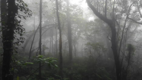 Drone-shot-of-foggy-forest-in-Taroko-National-Park,-Taiwan