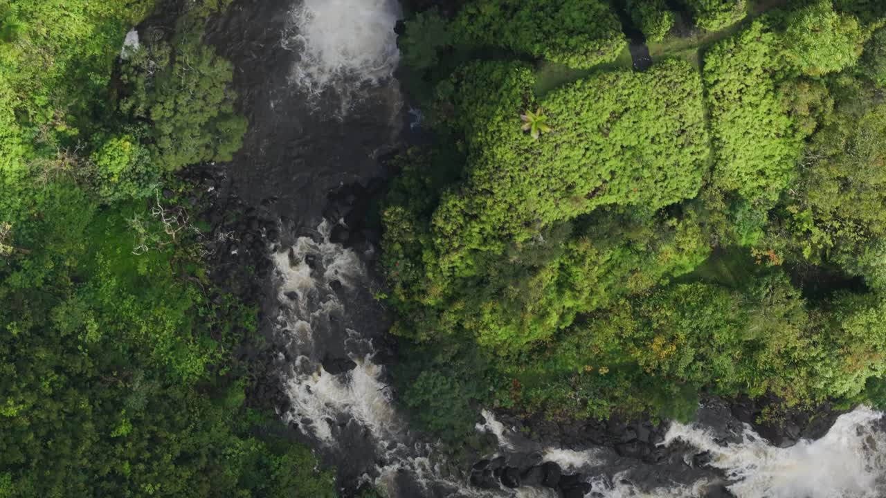 de arriba hacia abajo a lo largo de la corriente de agua que atraviesa el paisaje verde de hawai