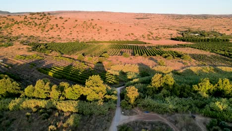 4K-high-resolution-drone-video-of-the-Banias-Hermon-River-resort-in-Northern-Israel-during-the-summer-months--Israel