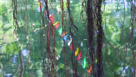 vibrant flags hanging among trees in serene setting