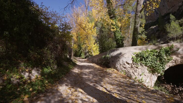 Sentiero in una foresta mediterranea con muro di pietra, pioppi, pini, che passa vicino a un casolare in pietra e una roccia di montagna