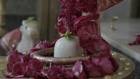 hindu god lord shivalinga prying by devotee with offering at temple at day