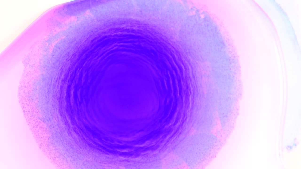 una flor morada animada solo para ti