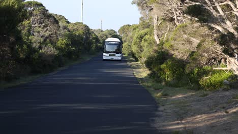 bus driving through lush greenery in melbourne