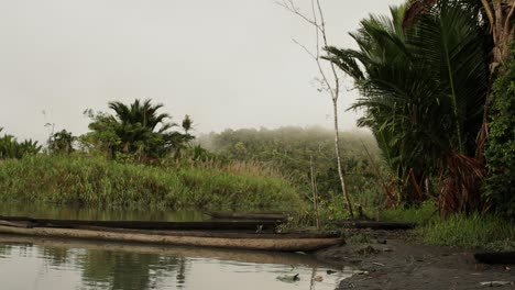 indigenous canoe boat docked on the riverbed in the papua jungle - handheld