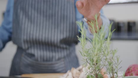 Midsection-of-biracial-woman-in-apron-preparing-meal,-cutting-rosemary-in-kitchen,-slow-motion