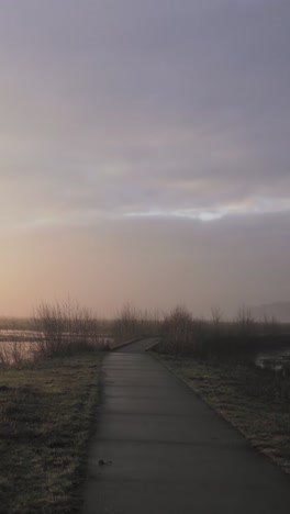 misty morning path through wetlands