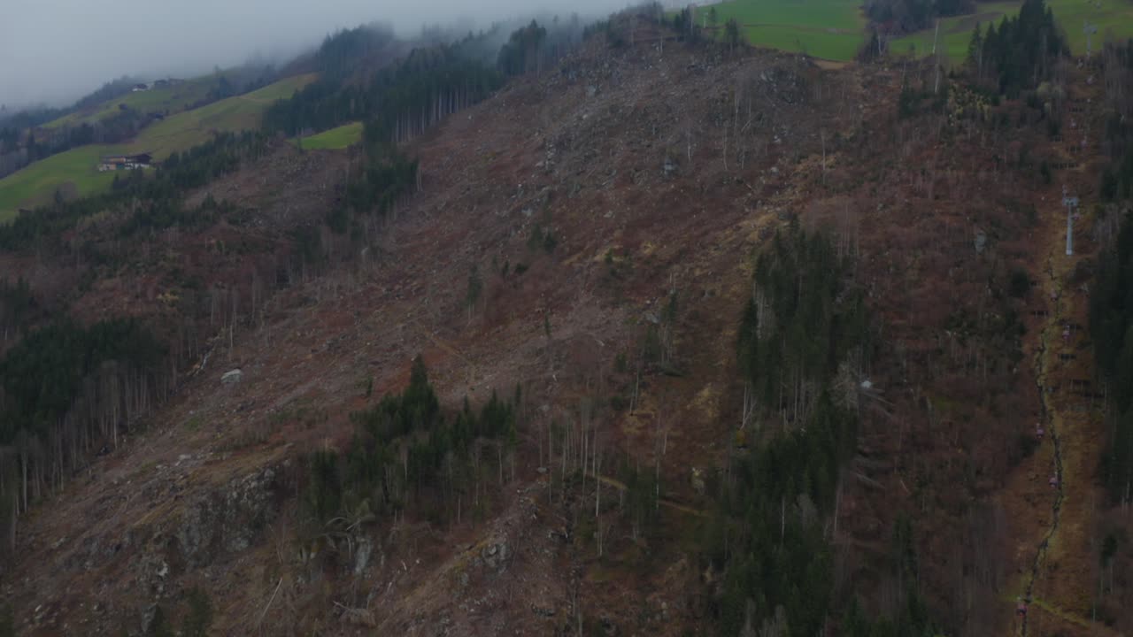 A compelling scene of a recently clear-cut forest area in Austria, where nature’s resilience hints at regrowth.