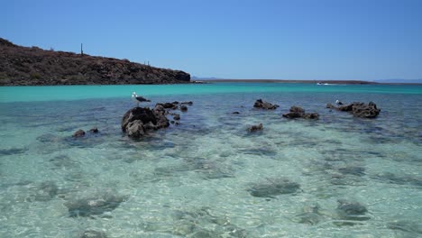 Crystal-clear-turquoise-water-in-Isla-Coronado,-Loreto,-Baja-California-Sur