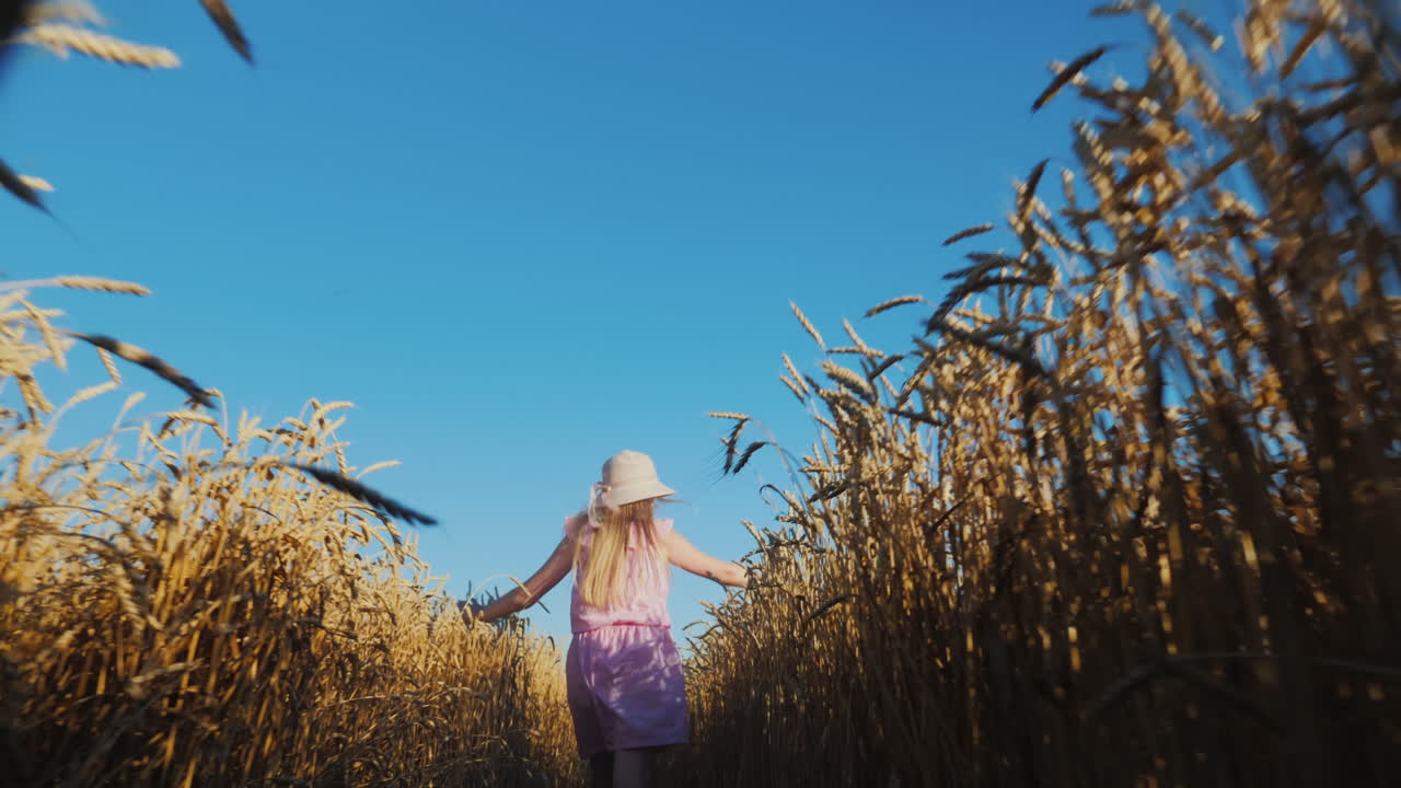 bebé feliz corre a través de un campo de trigo contra un cielo azul 3