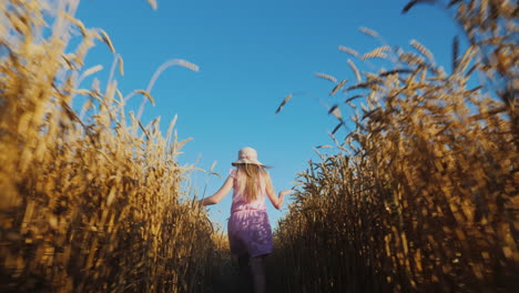 Happy-baby-runs-across-a-wheat-field-against-a-blue-sky-3