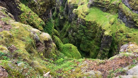 Lush-greenery-adorning-the-Glymur-Waterfall-ravine-in-Iceland,-vibrant-and-tranquil