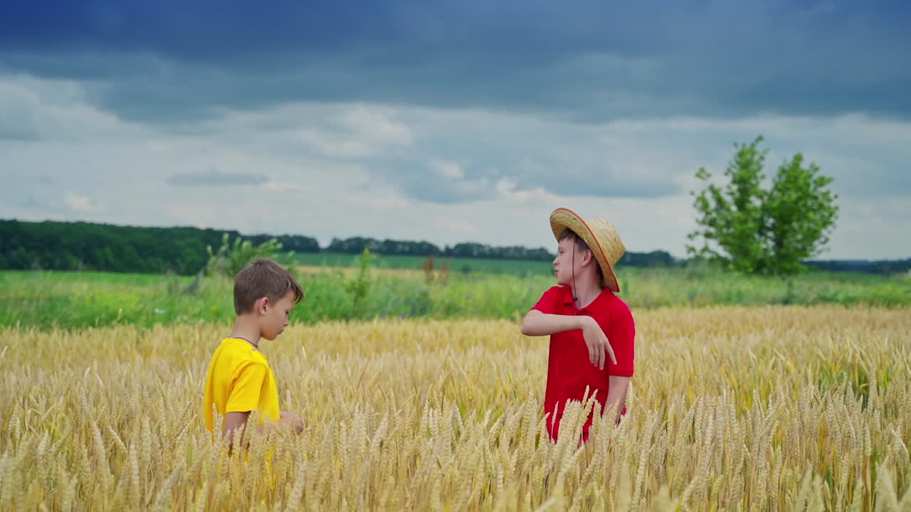 Happy child in wheat field. Two brothers walking in wheat field