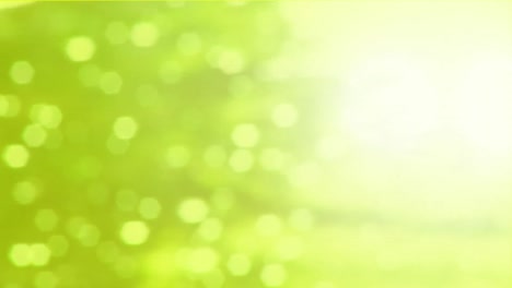 animación de focos parpadeantes sobre un fondo verde