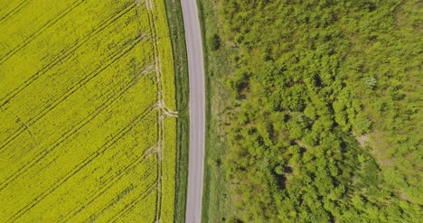 Scenic-View-Of-Canola-Field-Against-Sky-14