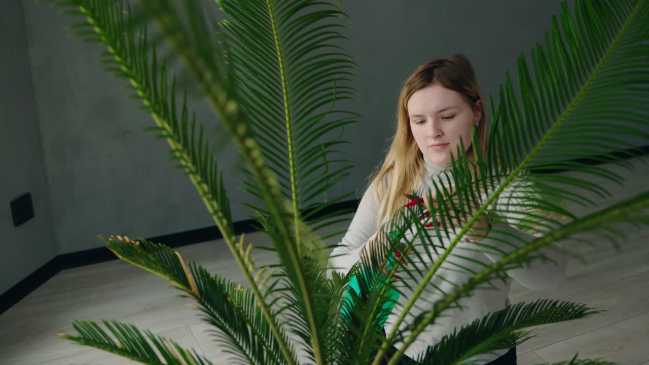 Woman Watering a Palm Tree Plant