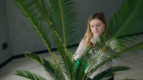 woman watering a palm tree plant