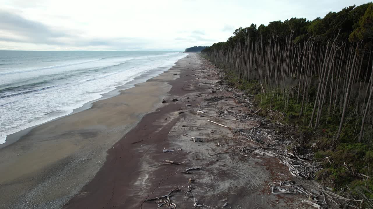 Tree Logs Washed Ashore The Maori Beach In Bruce Bay, South Island, New Zealand. - aerial shot
