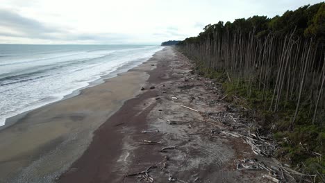 tree logs washed ashore the maori beach in bruce bay, south island, new zealand. - aerial shot