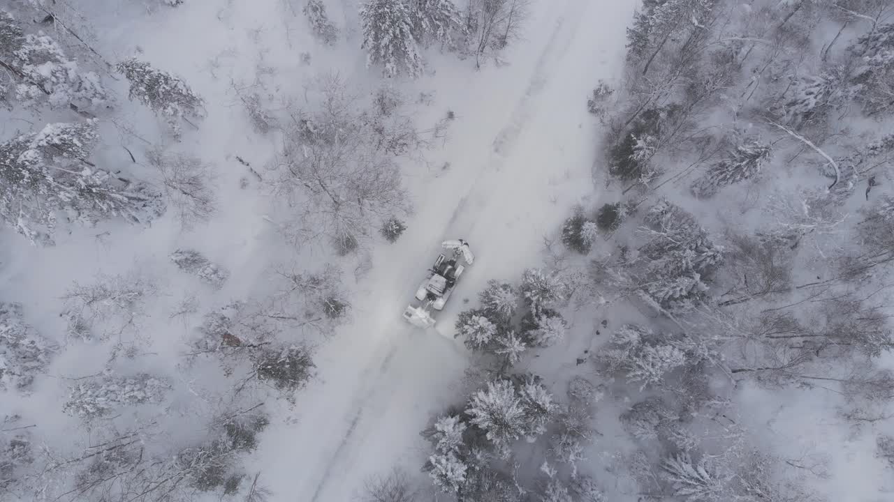 взгляд птицы на работающий трактор, очищающий дорогу, покрытую снегом