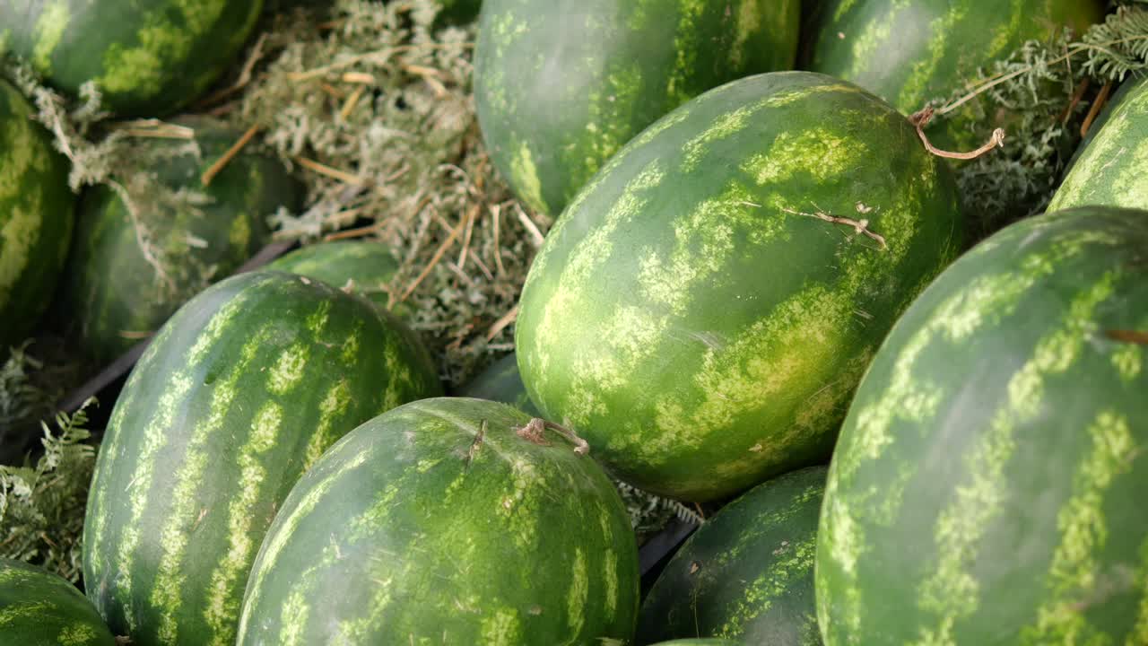 Watermelons in a Market