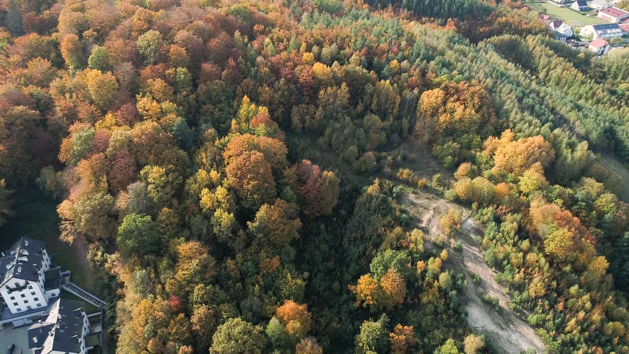 vista aérea del bosque de otoño, paisaje natural en polonia con concepto inmobiliario de villa aislada de lujo privado