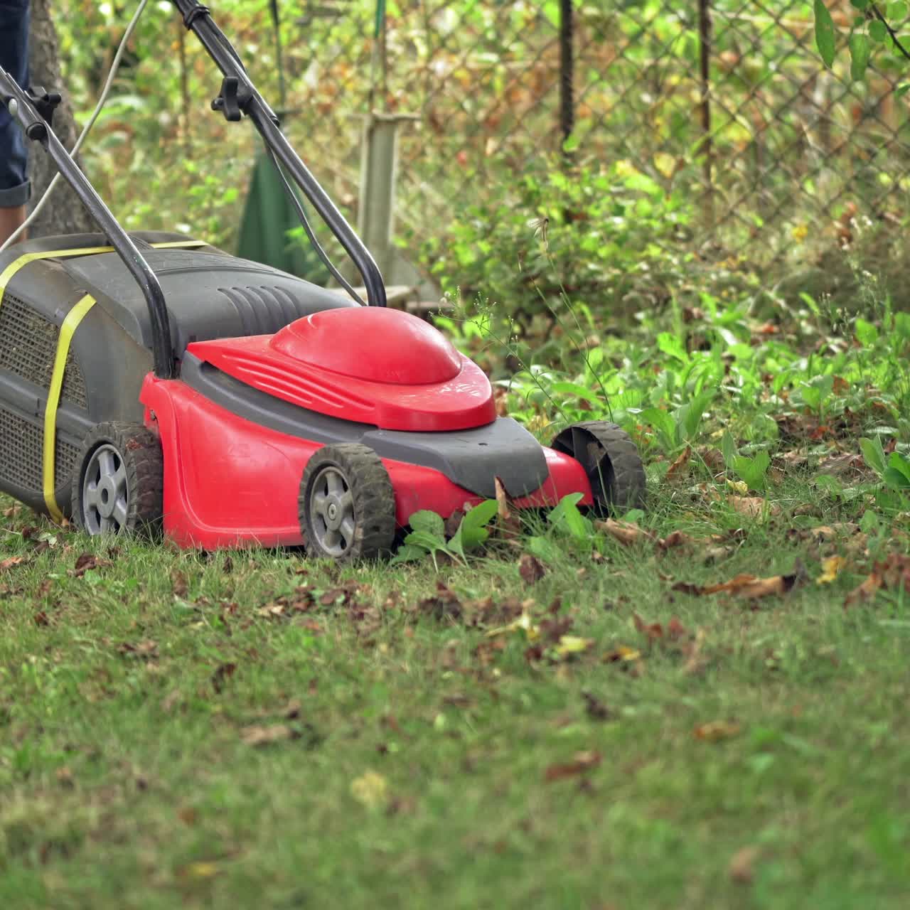 Powerful red lawn mower