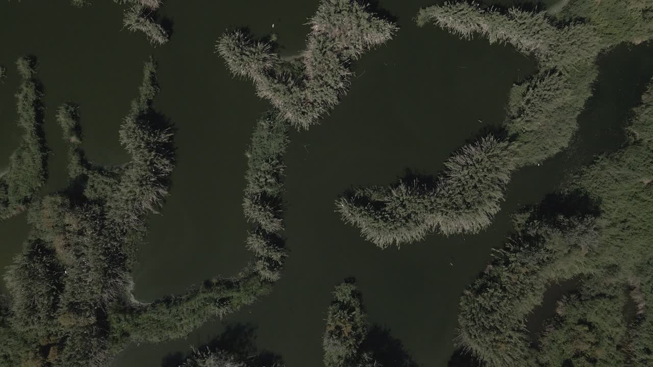 vistas cenitales de un humedal