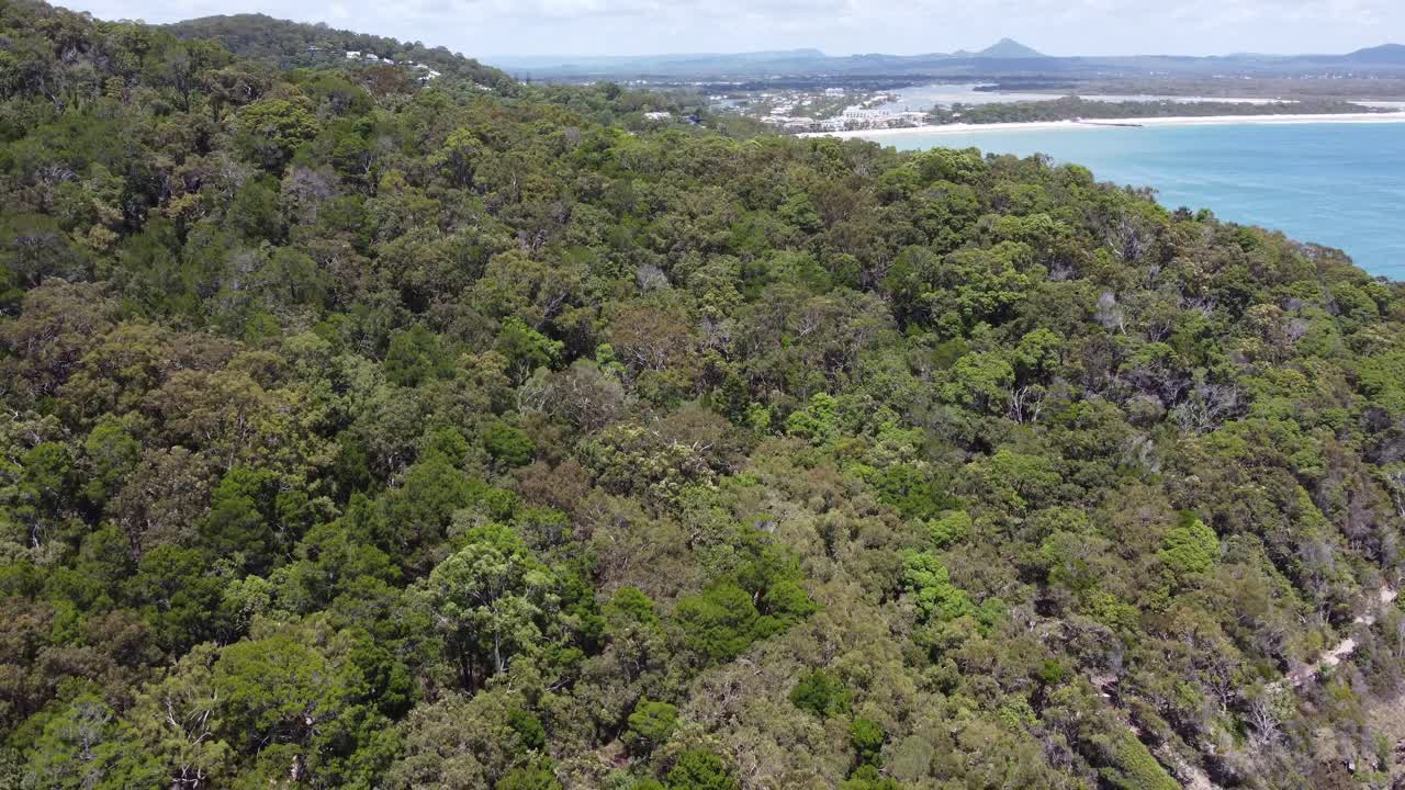drone descendiendo al bosque, océano pacífico en el fondo