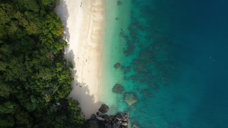 Nach-Unten-Gerichtete-Drohnenaufnahme-Von-Menschen-Am-FKK-Strand-Auf-Fitzroy-Island-In-Queensland,-Australien