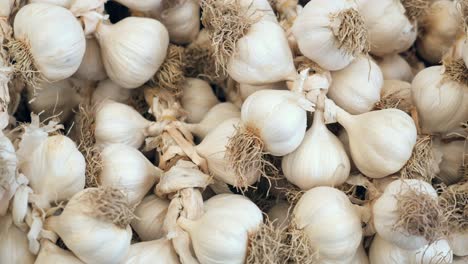 grappoli di aglio