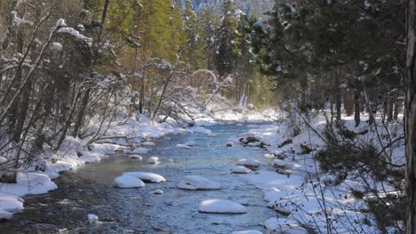 Beautiful-snow-scene-forest-in-winter.