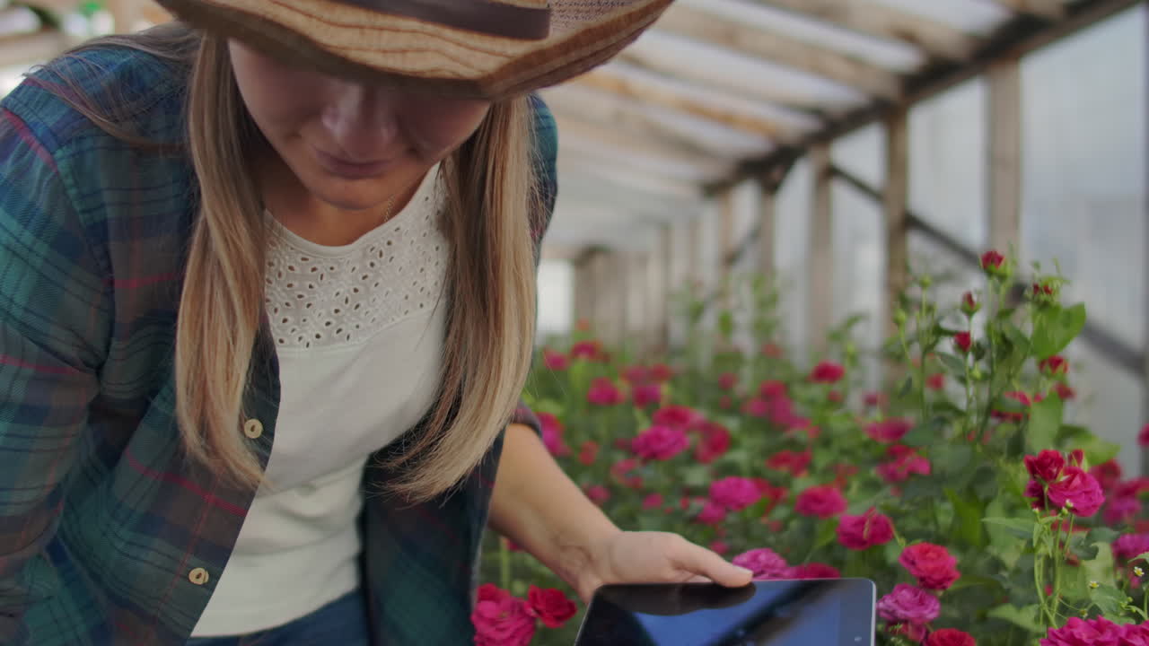 hermosa mujer florista camina a través del invernadero con una tableta de computadora comprueba las rosas cultivadas mantiene el seguimiento de la cosecha y comprueba la flor para clientes de negocios