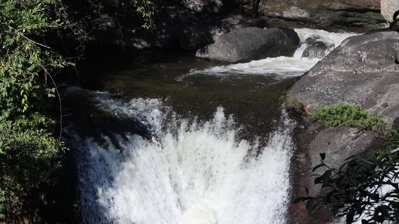el agua fluye sobre las rocas en un bosque sereno