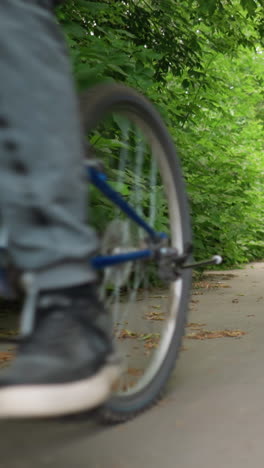 niño joven con camiseta negra y pantalones grises montando una bicicleta a lo largo de un camino pavimentado con marcas blancas, rodeado de densa vegetación, el suelo está lleno de hojas