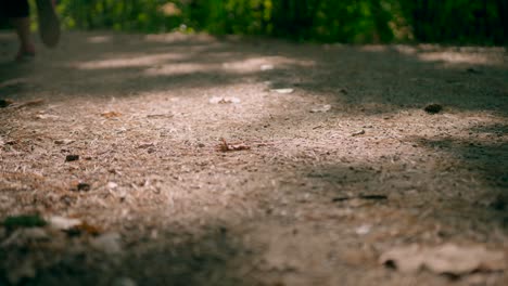 legs of a woman in red sneakers running on a walkway through a large forest park