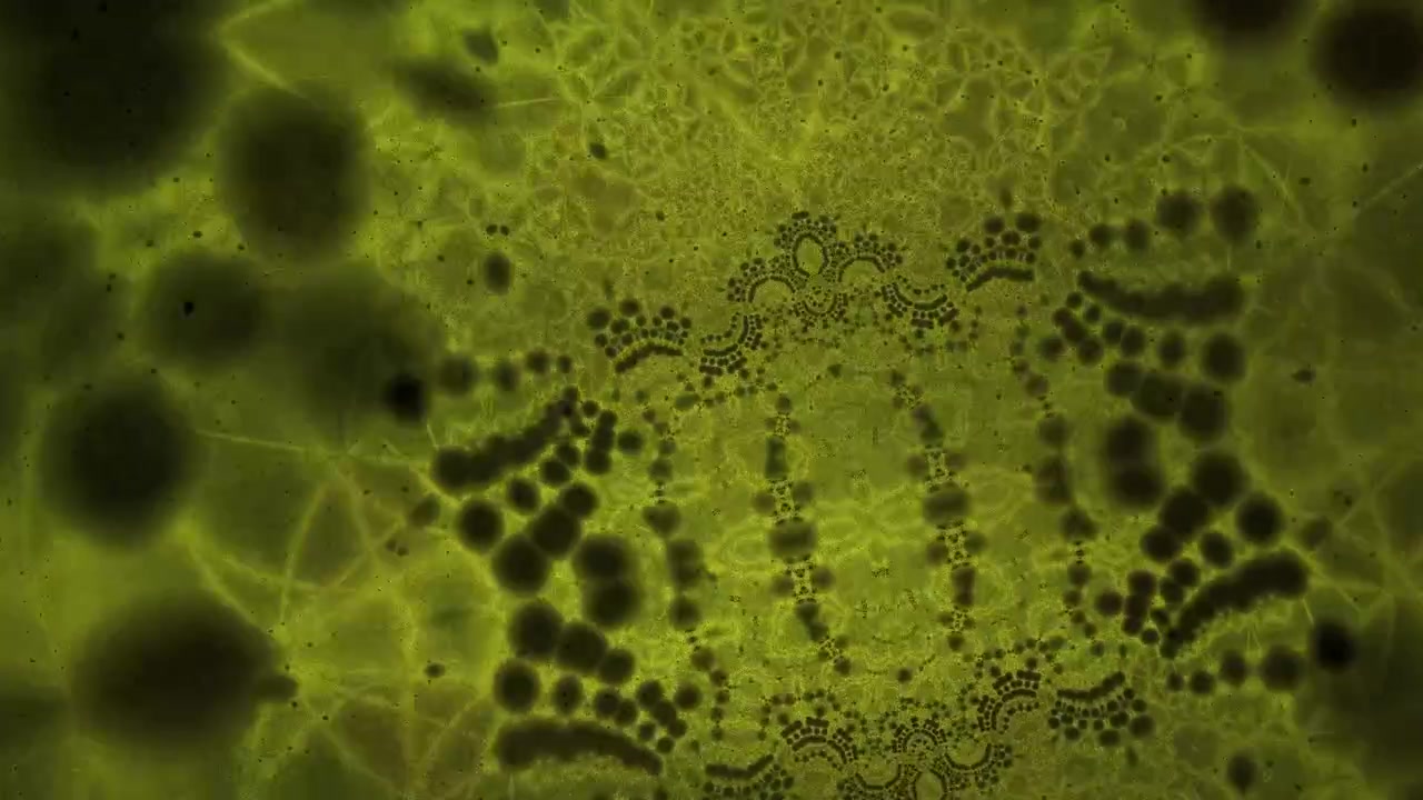 Patrón Fractal Orgánico Abstracto en Evolución sobre Fondo Amarillo Verdoso